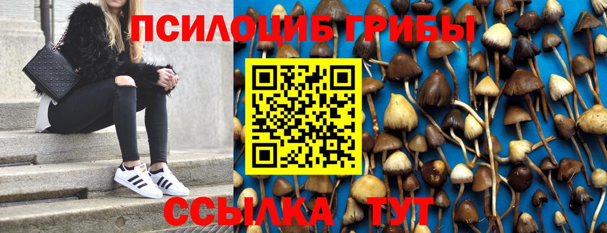 Галлюциногенные грибы мухоморы  Вход с VPN  Псилоцибиновые грибы MAGIC MUSHROOMS  Алушта 
